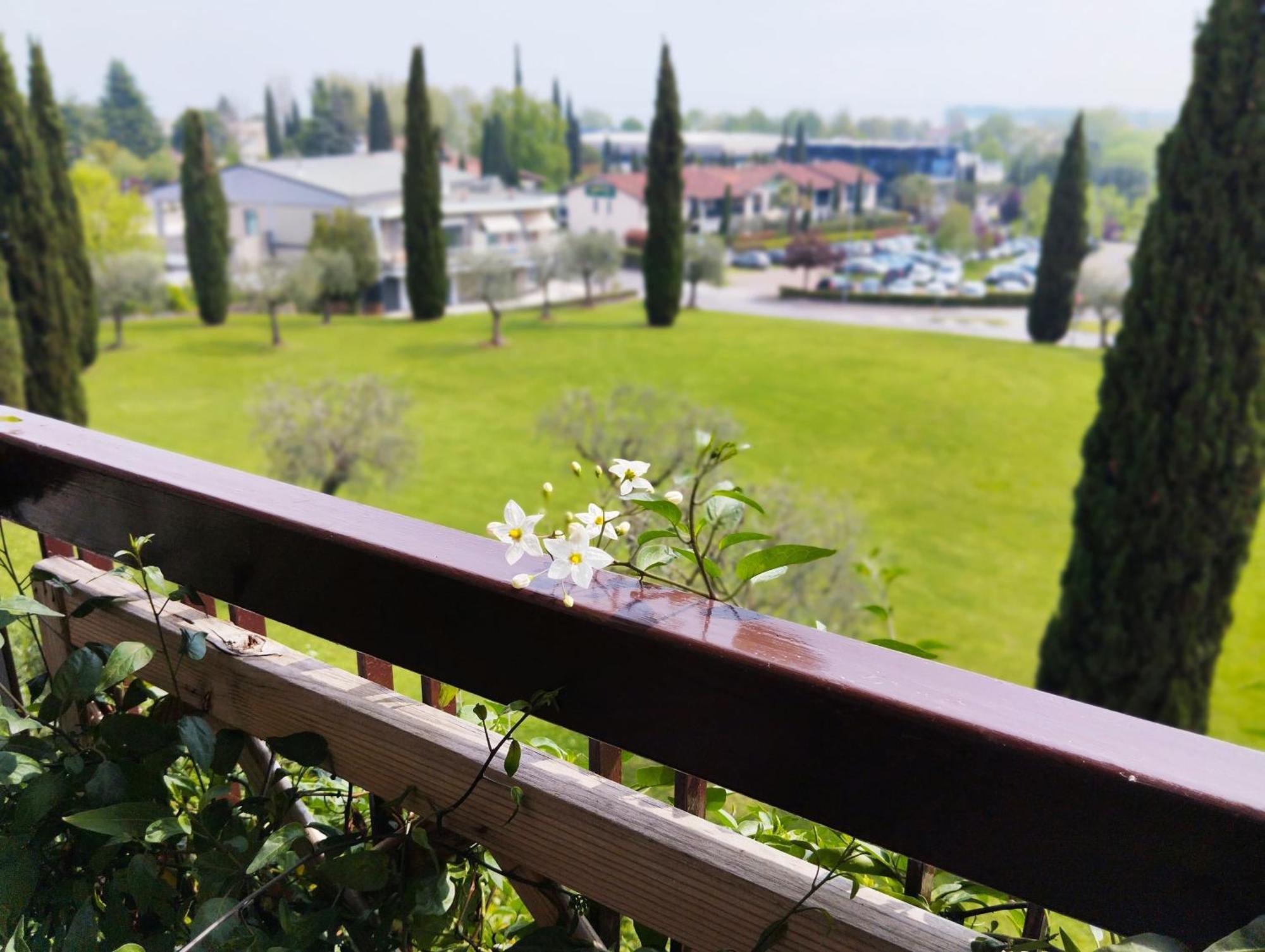Miragarda *