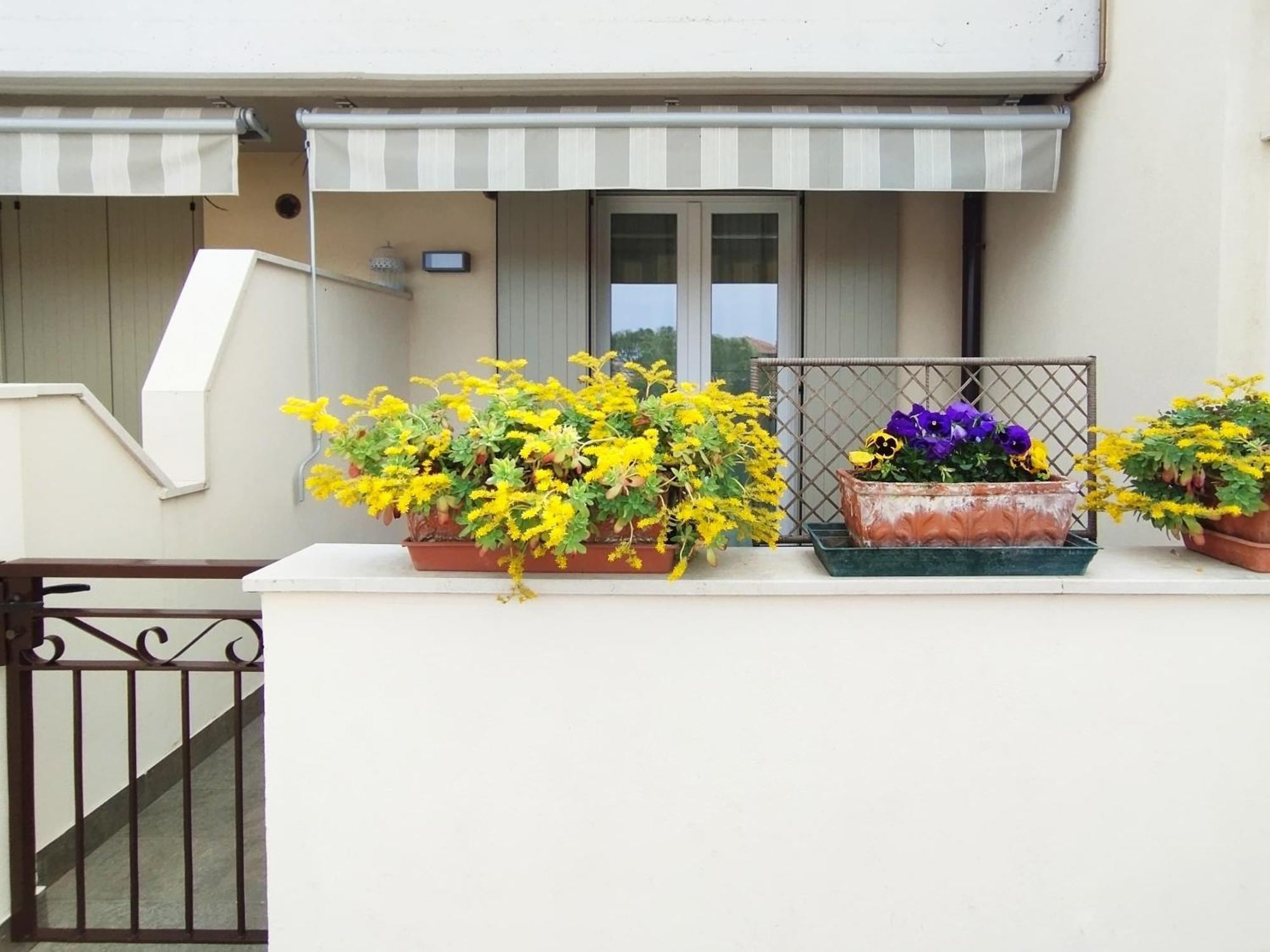 Miragarda